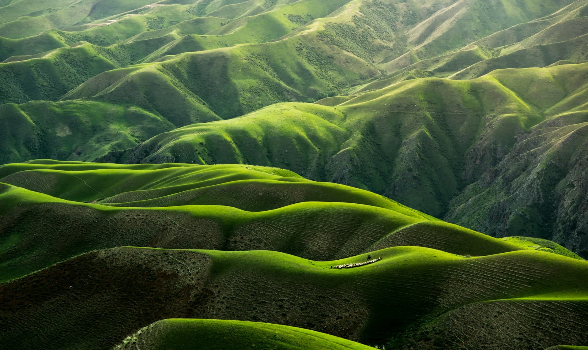 Green hills of Tanzania