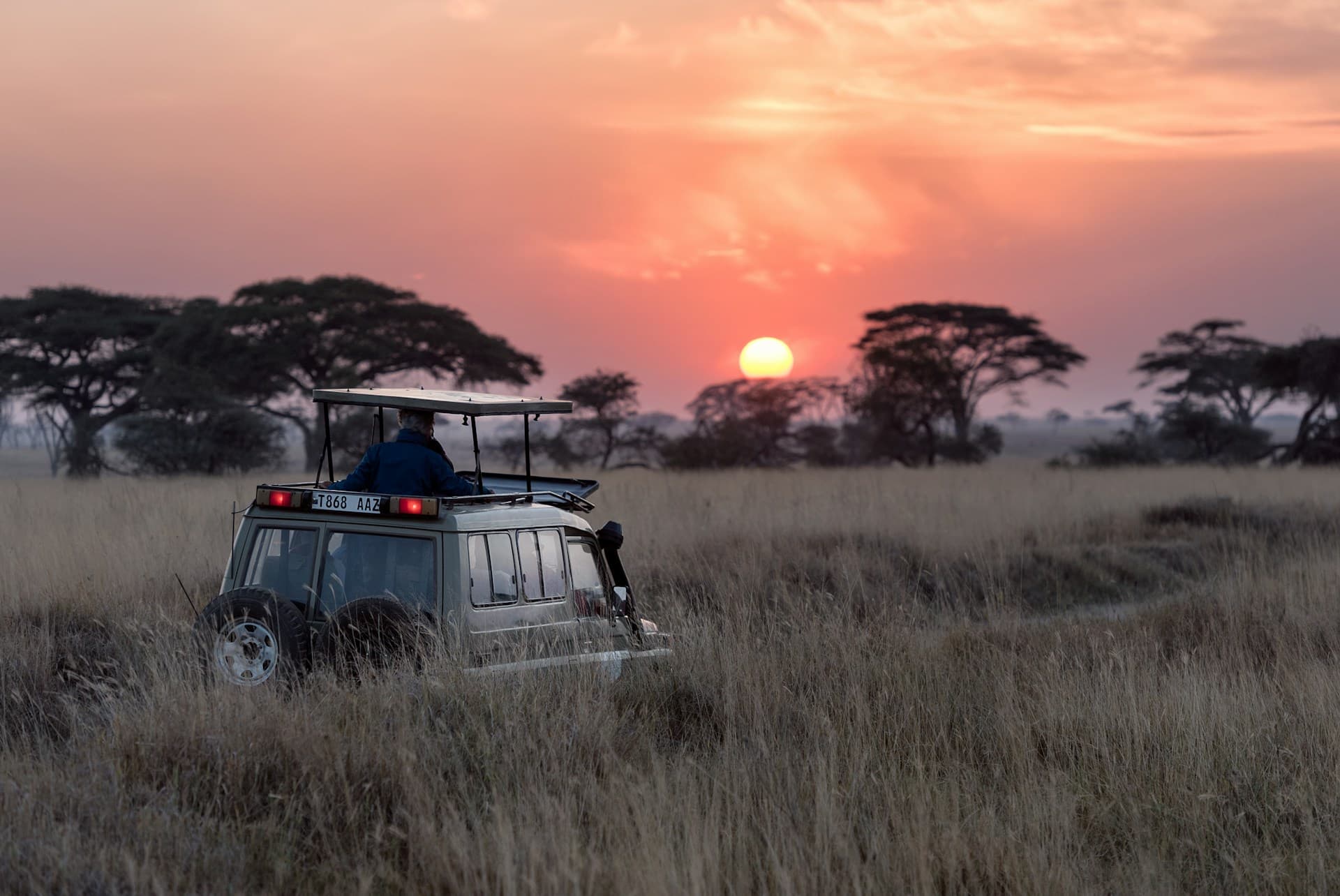 Wildlife on the Serengeti plains