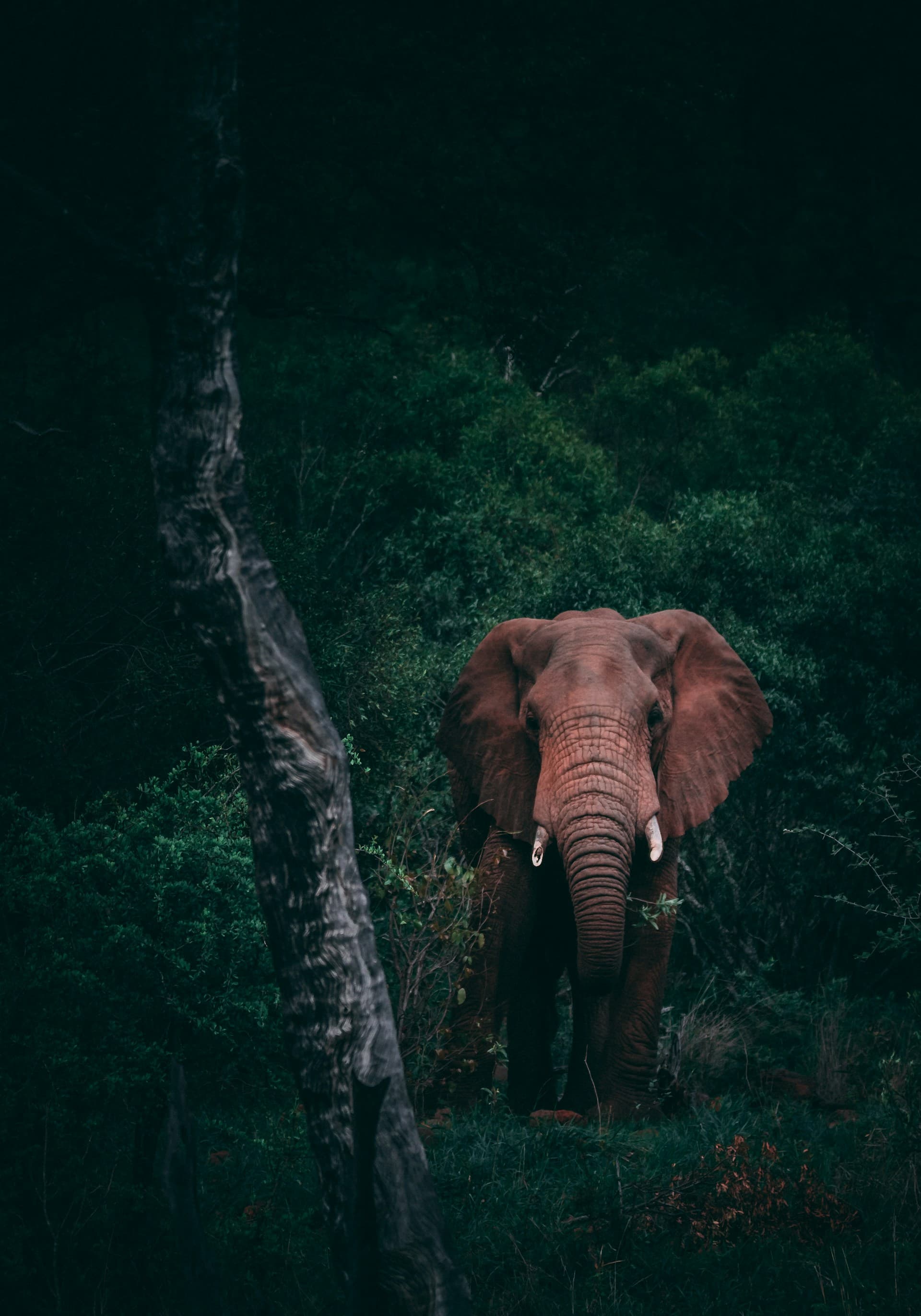 Tanzania gallery 4